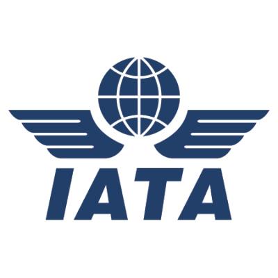  Airlines Cut Losses In 2022, Will Return To Profit In 2023: IATA 