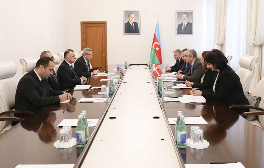 Azerbaijan, Denmark Discuss Co-Op In Healthcare & Pharmaceutical Sectors