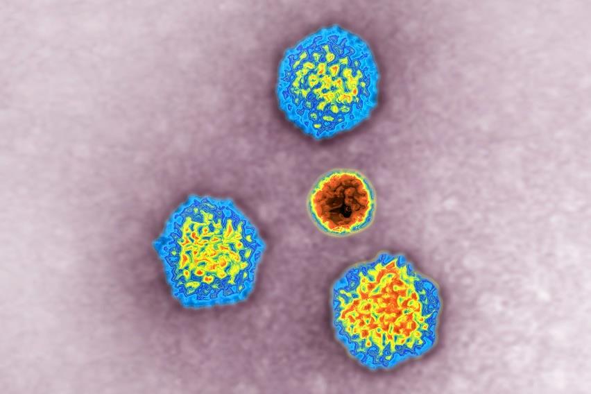 Minor Dies, Several Infected After 'Hepatitis Outbreak' In Kulgam