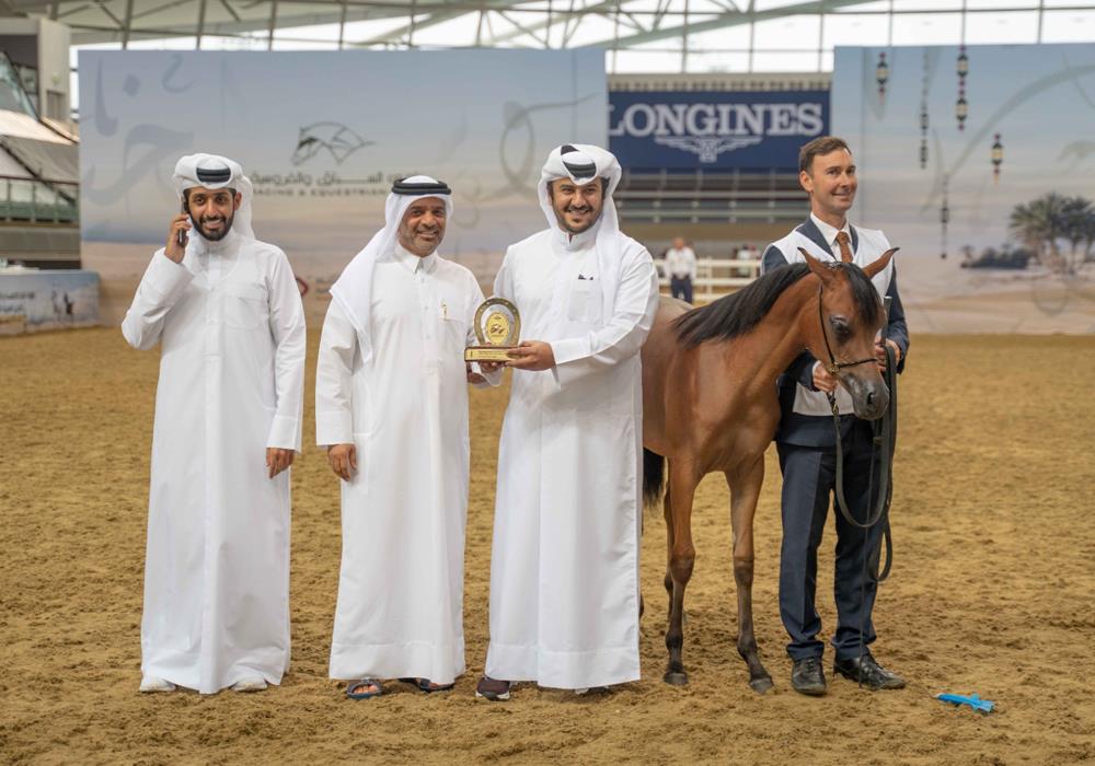 Qatar National Arabian Horse Show Begins