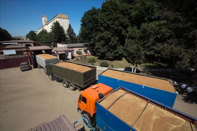 ارتفاع صادرات روسيا من القمح خلال العام الزراعي 22/23' 