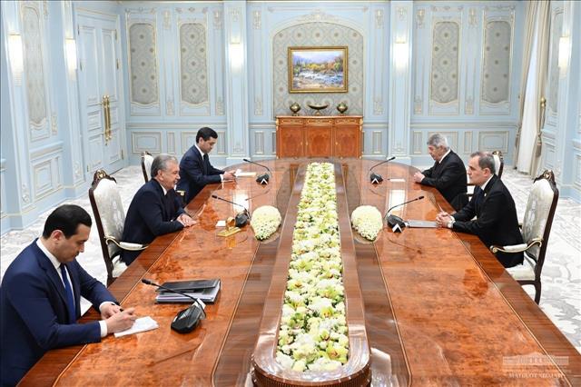 Azerbaijani Foreign Minister, Uzbek President Discuss Relations, Regional Developments