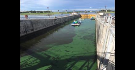 NBOT Labs Partners With Green Water Solutions To Provide Algae Remediation Services