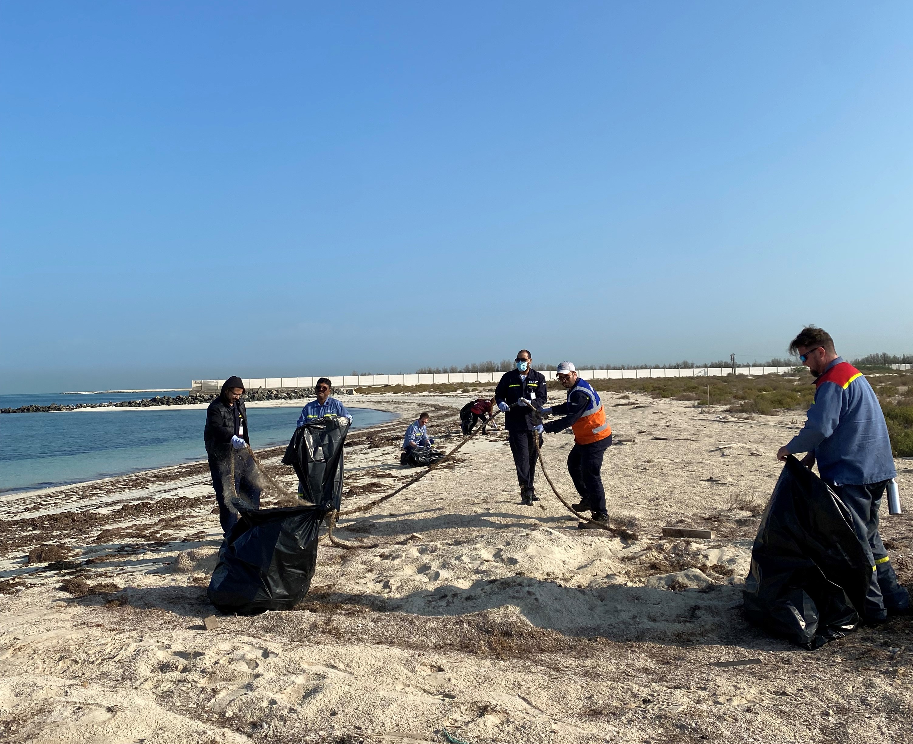 EGA volunteers clean up Al Taweelah beach ahead of turtle nesting season
