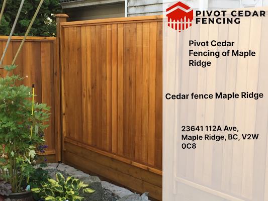 Maple Ridge Cedar Rounds Help Protect And Conserve A Unique Specie: Learn How To Identify Cedar ...