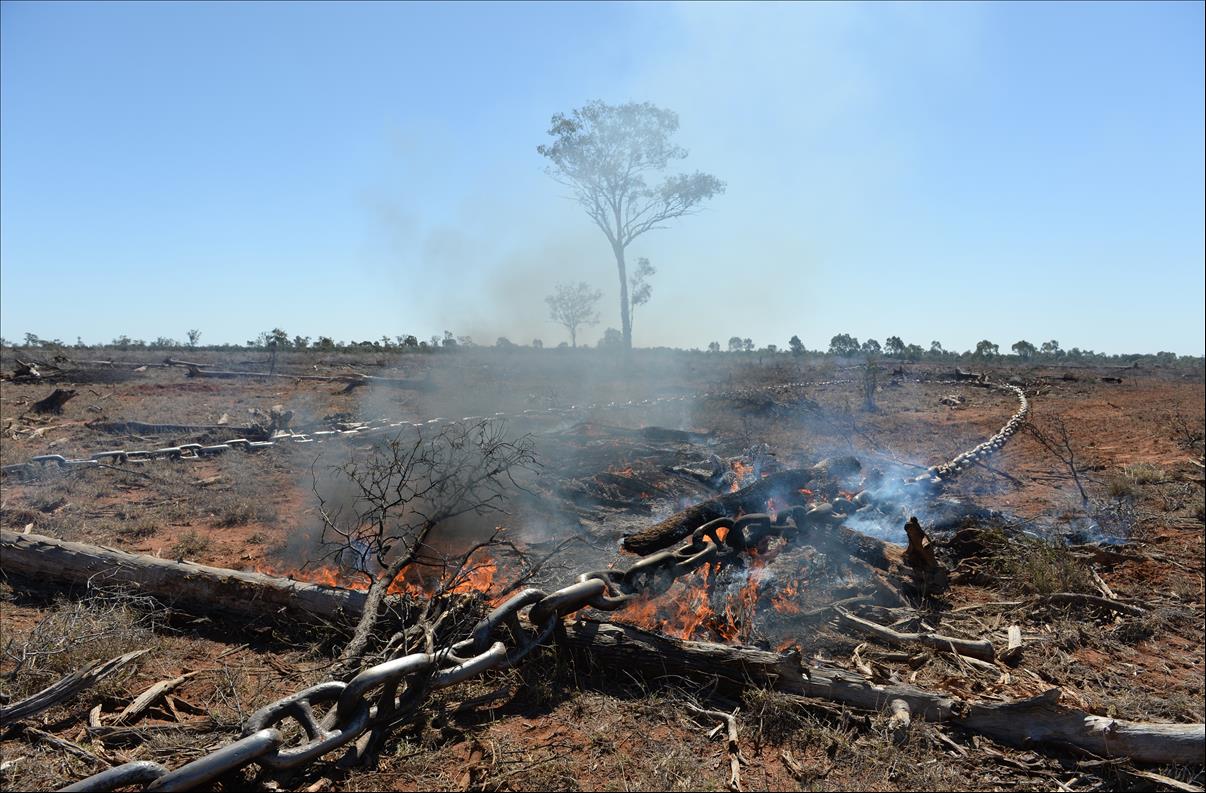 Why Queensland Is Still Ground Zero For Australian Deforestation