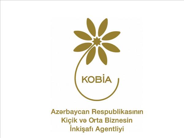 Azerbaijani Smes Make Up Majority Share Of Public Procurement