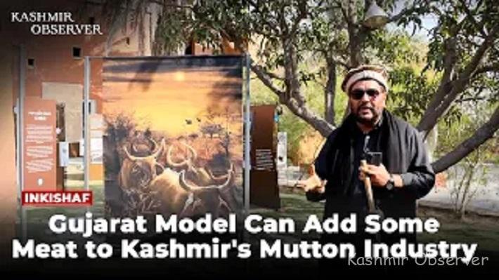 Gujarat Model Can Add Some Meat To Kashmir's Mutton Industry