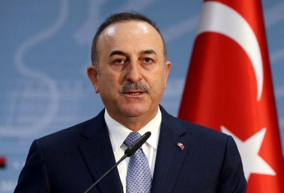 Turkiye, Azerbaijan Sincere In Efforts To Develop South Caucasus - Mevlut Cavusoglu