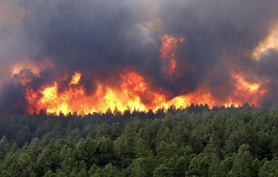 13 Dead In Chile Forest Fires