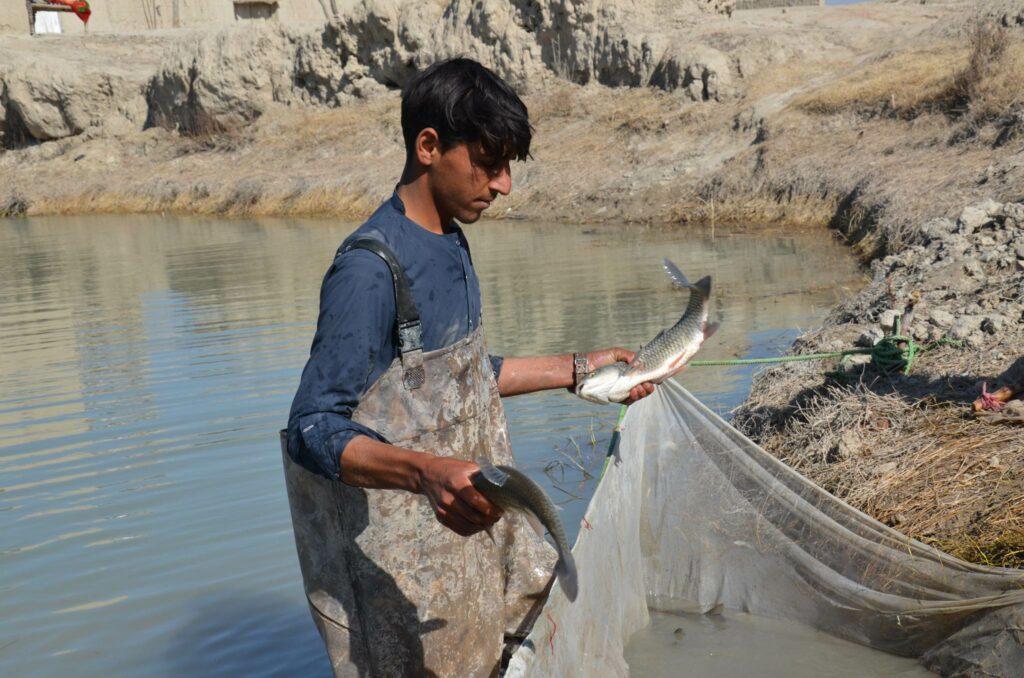 Khost Fish Farmers Seek Govt's Support To Improve Business