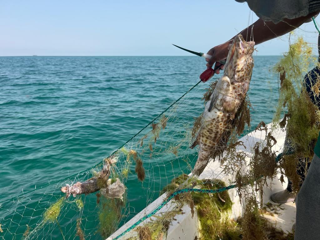 Ministry Seizes Fishing Nets