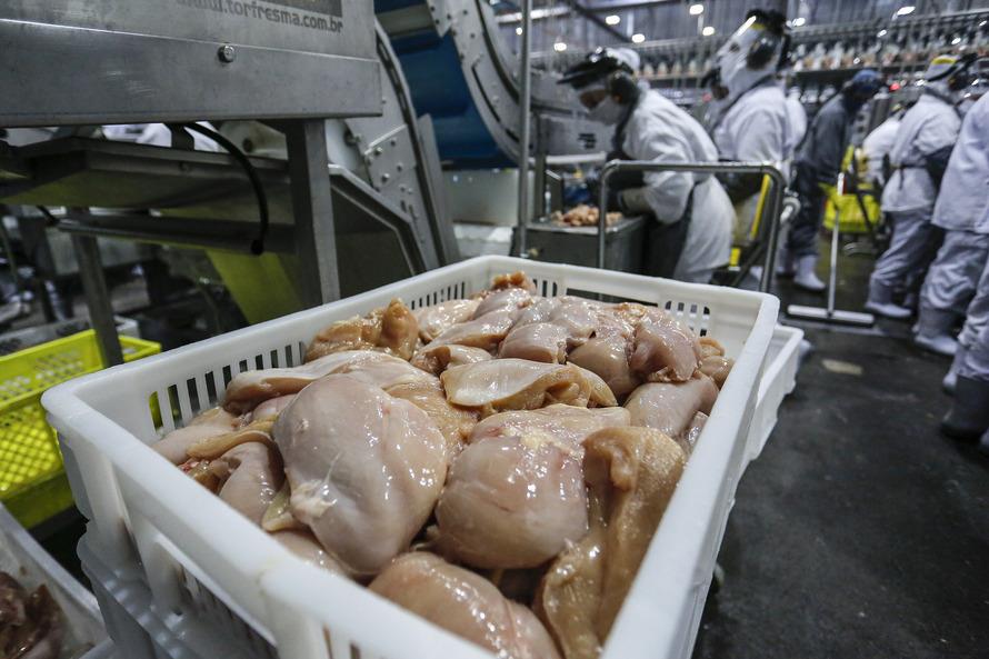 Brazil’S Poultry Exports Up 21% In January