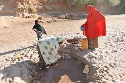  Aid Agencies Seek $2.6Bn To Help 7.6Mn Somalians Amid Historic Drought 