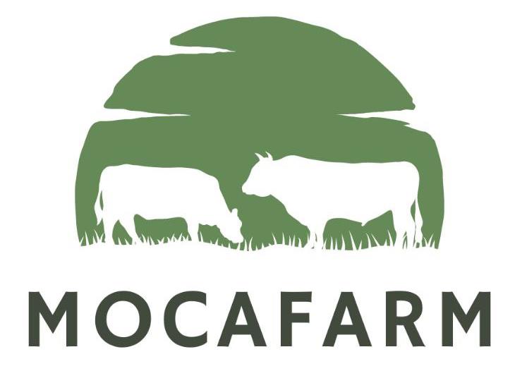 Mocafarm Dairy Inc: Revolutionizing The Dairy Industry While Giving Back To The Community - ZEX PR WIRE