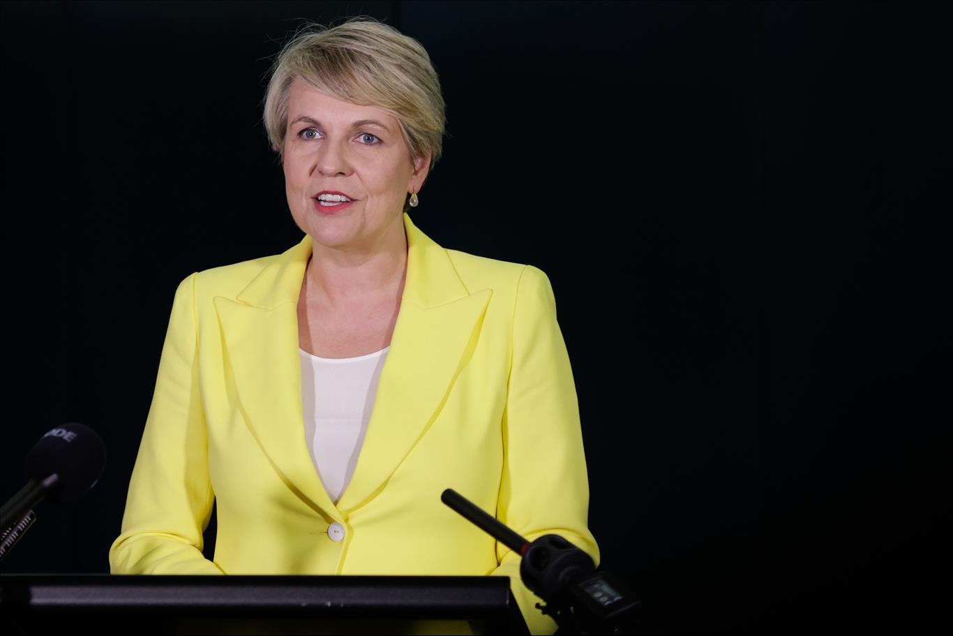 'A Policy Aesthete': A New Biography Of Tanya Plibersek Shows How Governments Work  And Affect People's Lives
