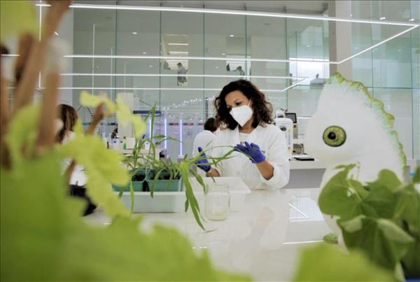 Bayer And Kimitec Join Forces To Bring The Next Generation Of Biologicals To Millions Of Growers Worldwide
