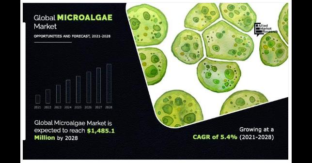 Microalgae Market Is Expected To Grow At A CAGR Of 5.4% Witnessing $1,485.1 Million Revenue By 2028