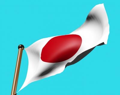  Japan's Largest Prefecture Reinforcing Efforts To Meet Carbon Neutrality Target 