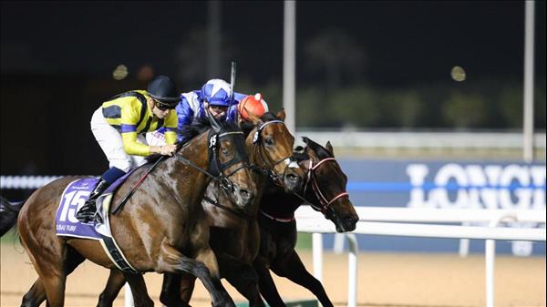 Dubai Gallops To Pole Position In The Big League Of Horse Racing Destinations