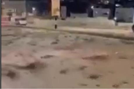 فيديو - إغلاق شارع رئيسي في الطفيلة بسبب السيول
