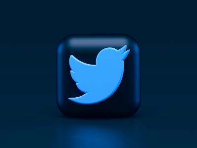  Half Of Twitter Blue Users Have Less Than 1,000 Followers: Report 