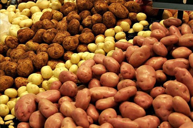 Turkmenistan Reveals Data On Planned Area Of Land Sown With Potatoes In Dashoguz Region