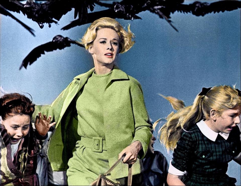 Daphne Du Maurier's The Birds Predicted Environmental Crisis 70 Years Ago