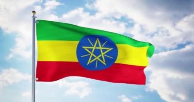 Ethiopian Govt, Rebel Group Conclude Peace Talks Without Deal | MENAFN.COM