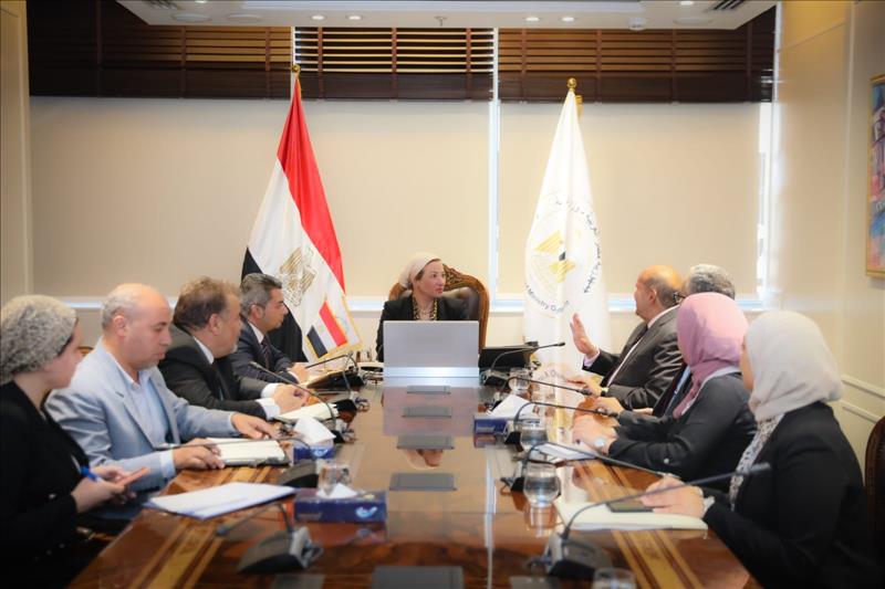 Environment Minister Reviews Updates On Smart Green Projects Initiative - Dailynewsegypt