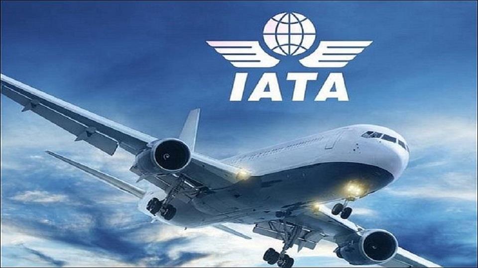 IATA: Bookings Indicate A Strong Peak Season Ahead