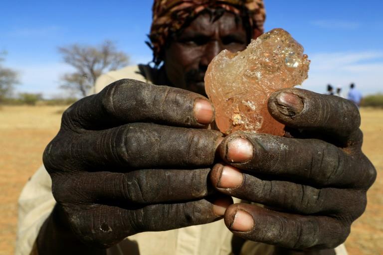 Sudan war hits crucial gum arabic business