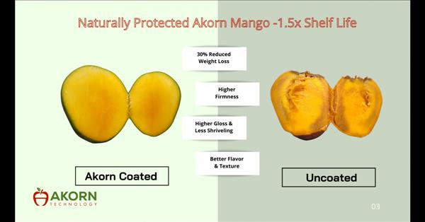 Akorn Technology Announces Fresh Mango Business Expansion In Africa