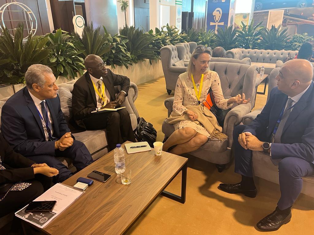 African Pharmaceutical Technology Foundation Receives Strong Endorsement At Afdb Annual Meetings In Sharm El-Sheikh - Dailynewsegypt
