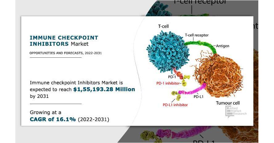 Immune Checkpoint Inhibitor Market Forecast : Surpass 155.1 Billion By 2031, Report