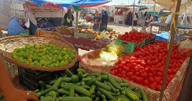 انخفاض أسعار البصل والطماطم فى الأسواق.. واستقرار باقى الأصناف