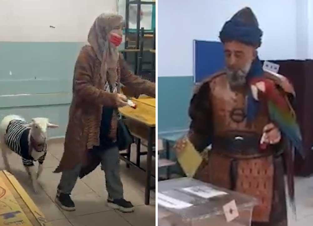 Voters In Fashion Turn Up At Turkish Polling Booths With Unexpected Companions