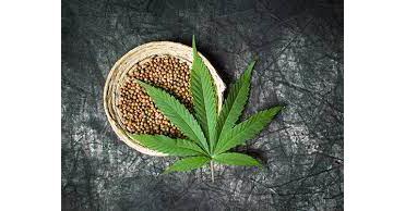Industrial Hemp Market Size Valued At $18.6 Billion And CAGR Of 22.4% From 2021 To 2027 | Top Key Players Overview