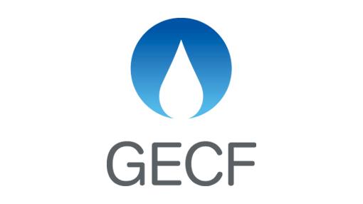 GECF's Secretary General Commends UAE For COP28 Leadership