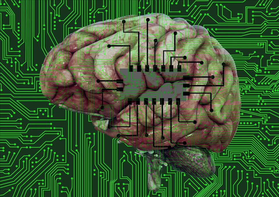 The FDA Finally Approved Elon Musk's Neuralink Chip For Human Trials. Have All The Concerns Been Addressed?