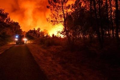  Israel's Firefighters Put Out 220 Fires Amid Extreme Heatwave 