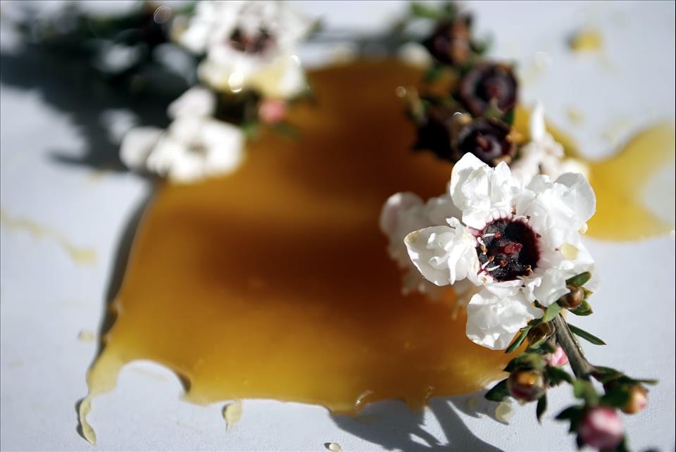 How NZ's Own Law Helped Australia Win The Manuka Honey Trademark War