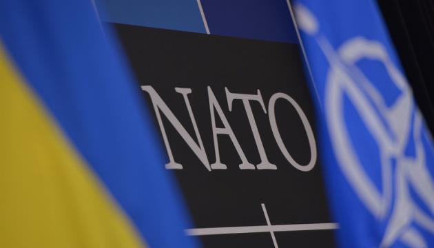 Ukraine Wants To Hear Action Plan Of Swift Accession To NATO - Deputy Defense Chief