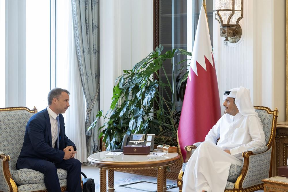 PM Meets France-Qatar Friendship Group Chief