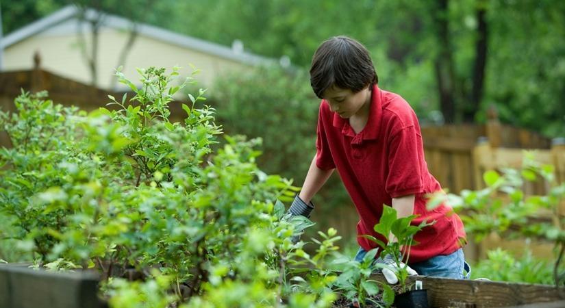  Gardening, Cycling May Help 'Fight Off' Genetic Risk Of Type 2 Diabetes 