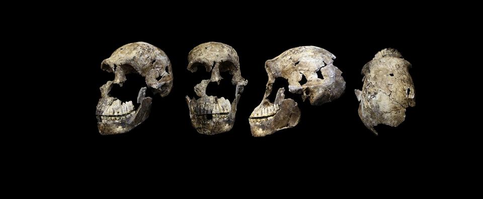 Major New Research Claims Smaller-Brained _Homo Naledi_ Made Rock Art And Buried The Dead. But The Evidence Is Lacking