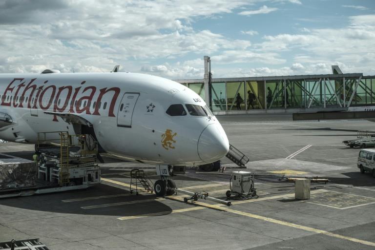 Rights group sues Ethiopian Airlines for 'discriminating' against Tigrayans