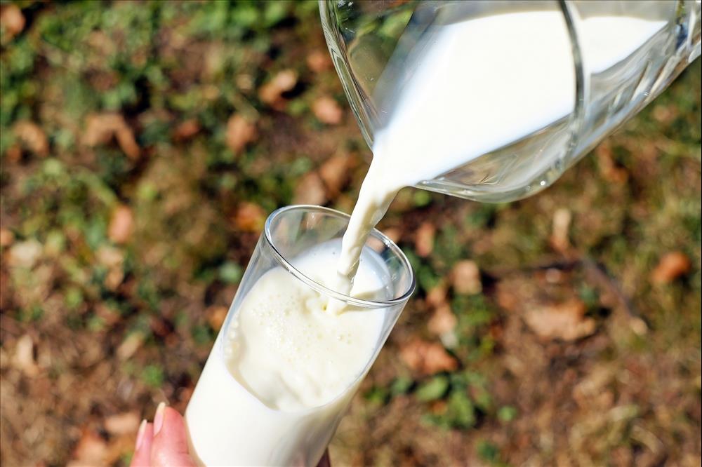  UP Govt Launches Scheme To Promote Milk Production 