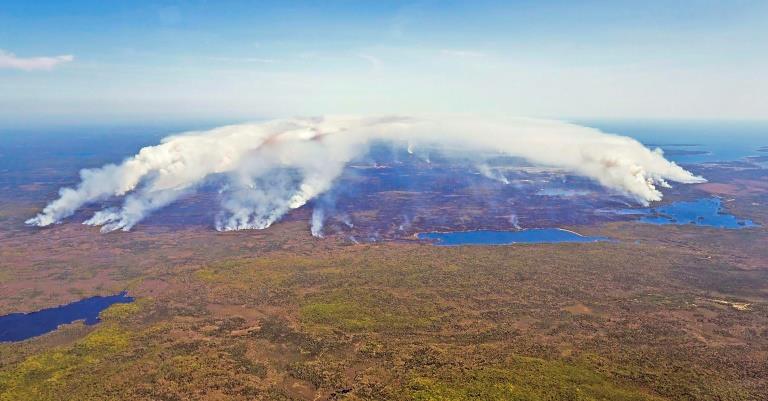 Canada wildfires spark 'ecoterrorist' conspiracy theory