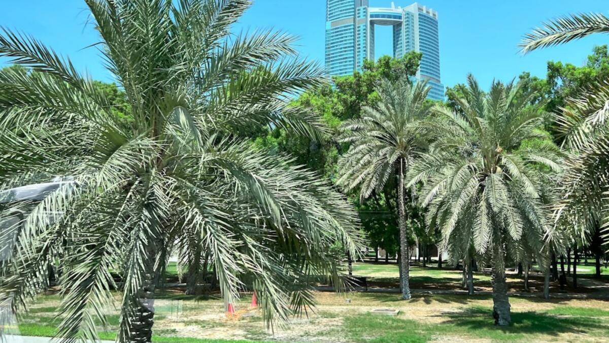 UAE: Temporary Closure Of Popular Park Announced In Abu Dhabi